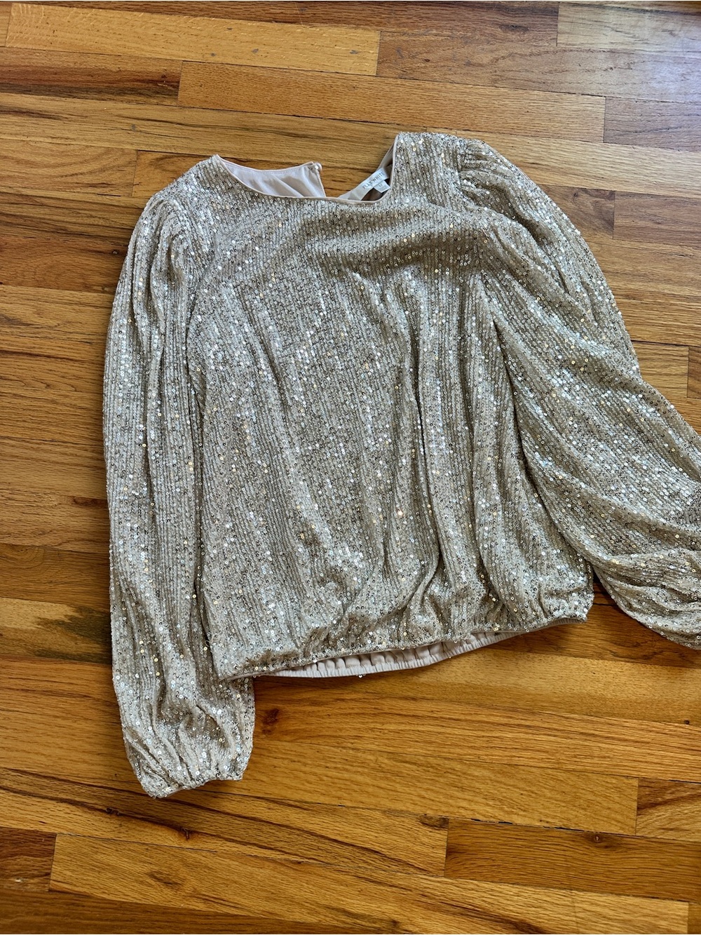 Anthropologie Silver Sequin Long-Sleeve Blouse